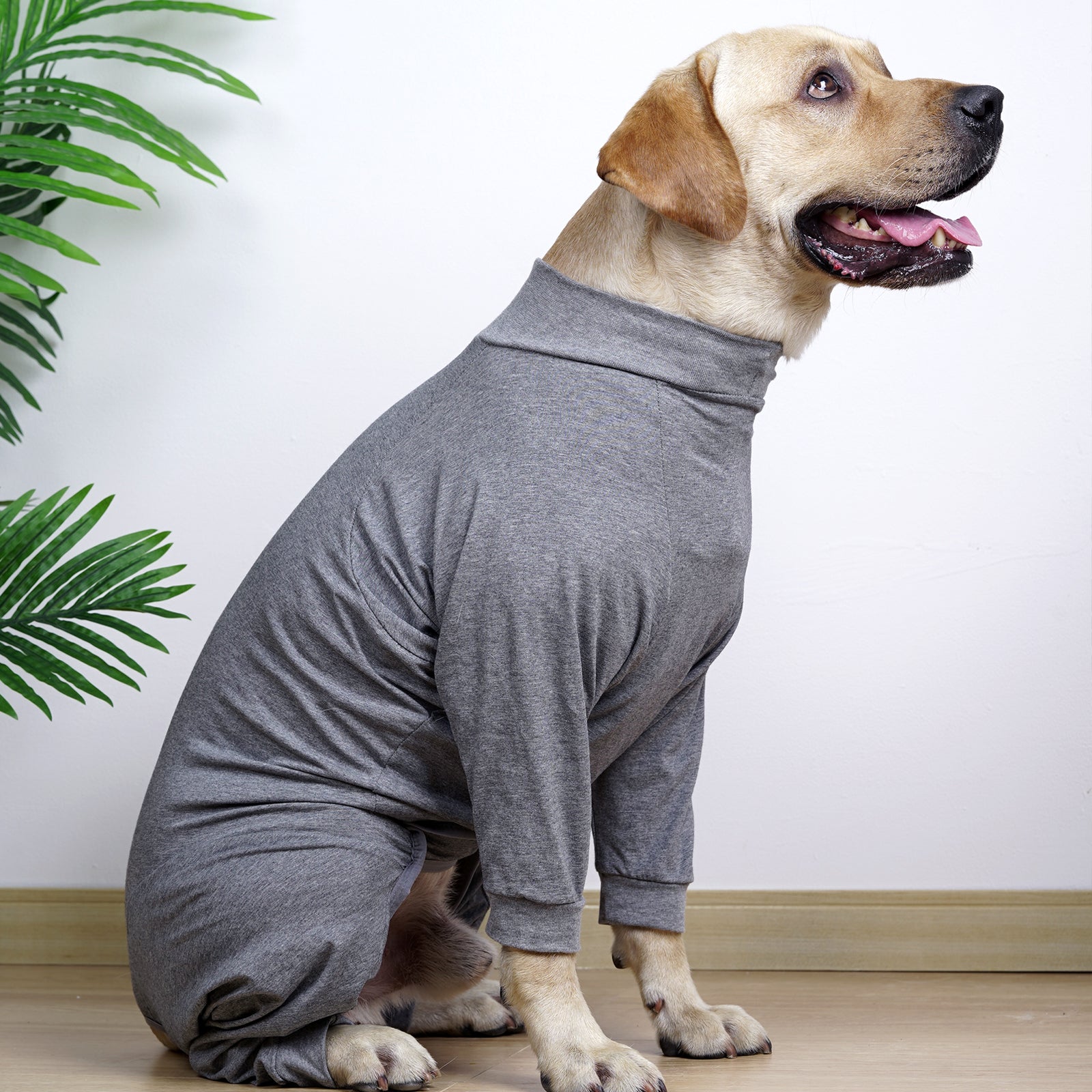 Dog Rehab Clothes Prevent Lick Wounds Electronic Collars and Cone